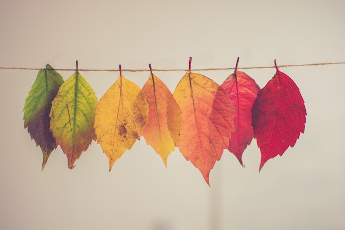Una tavolozza di colori, ti sveliamo le tendenze per l’autunno 23/24