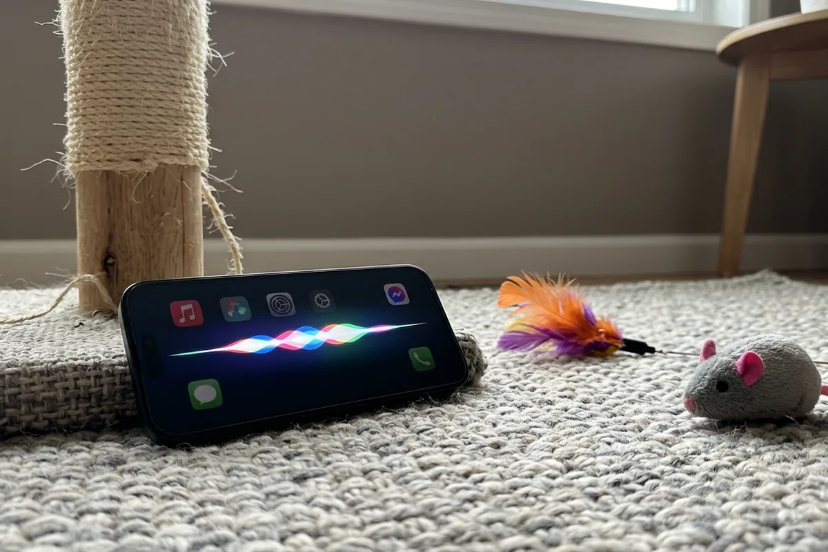 Cosa significa quando il tuo gatto miagola molto? Impara a capire il suo linguaggio nascosto